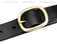 Load image into Gallery viewer, Celosia Belt