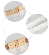 Load image into Gallery viewer, Mirabilis Belt